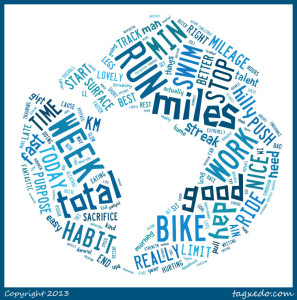 ExerciseLog_WordCloud