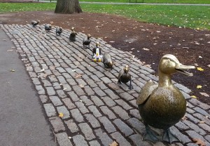 Duck_Boston