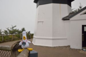 DuckLighthouse